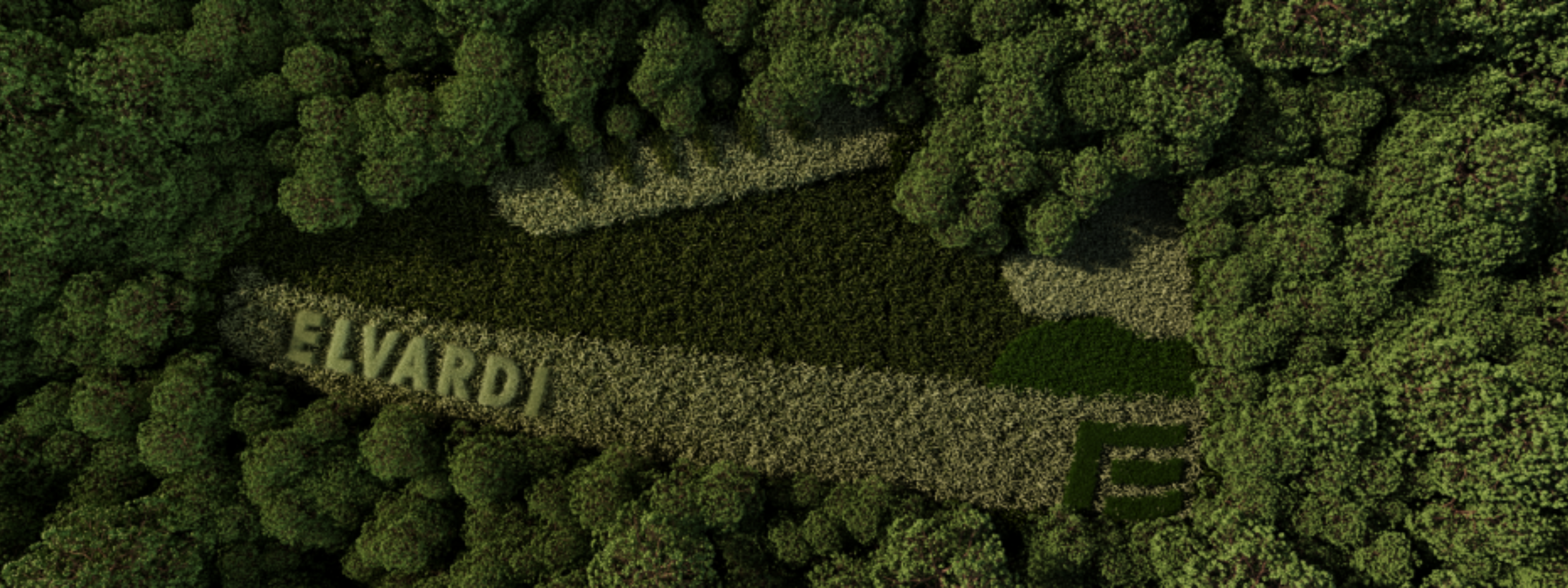 Sustainable Footwear - Rooted in Science, Built for the Future